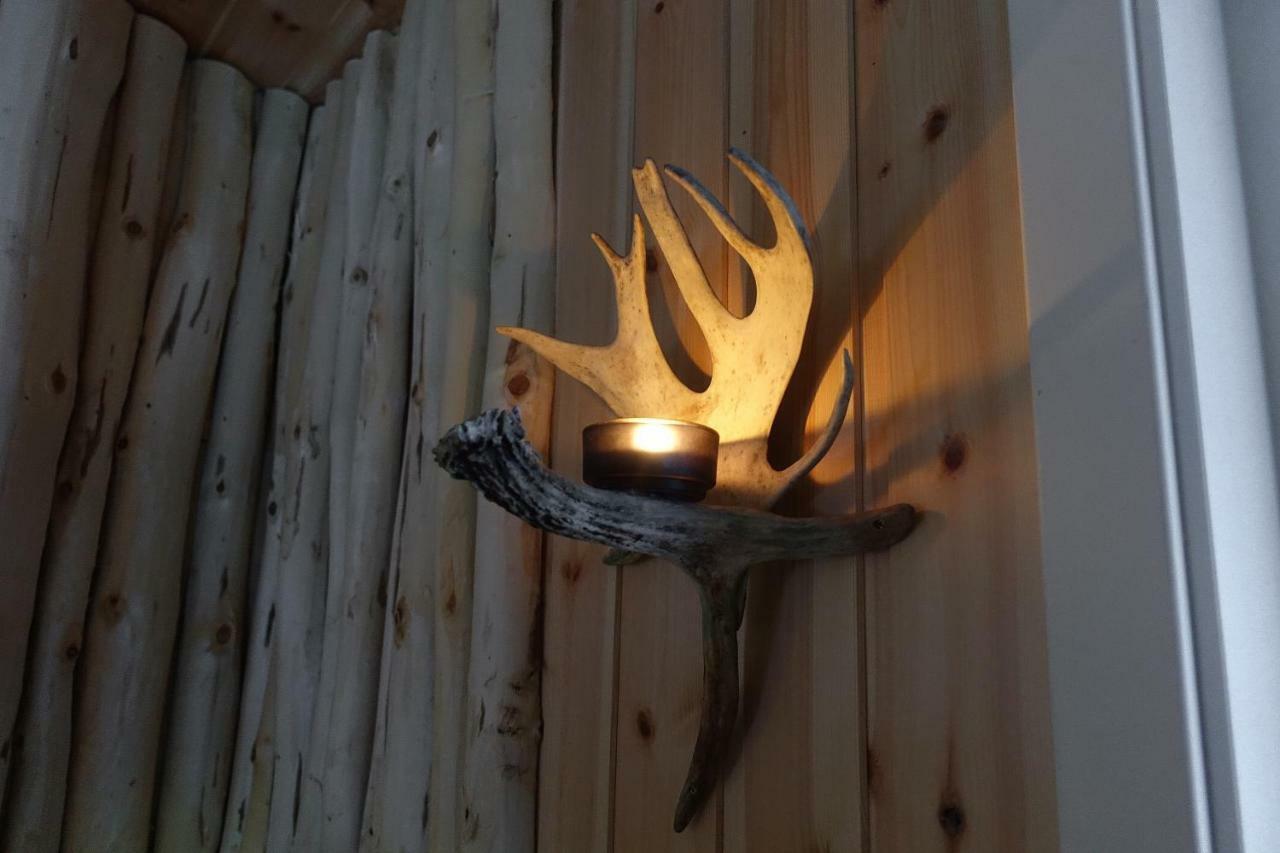 Wild Caribou'S Wildwood Cabin 락셀브 외부 사진